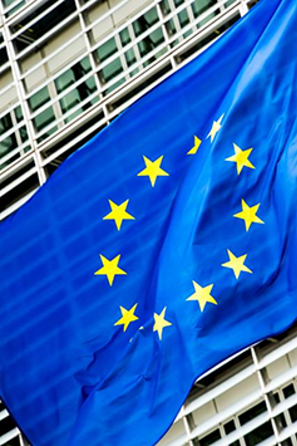 The European Union flag.