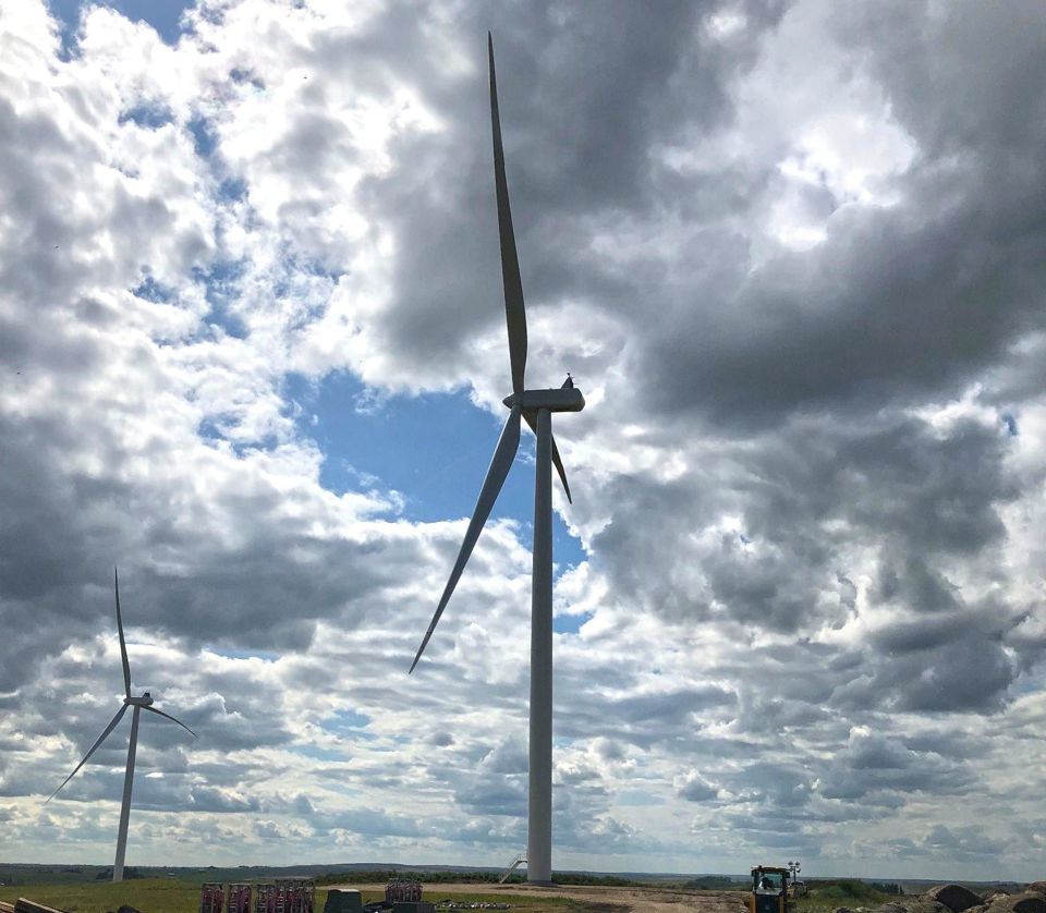 Foxtail Wind Farm