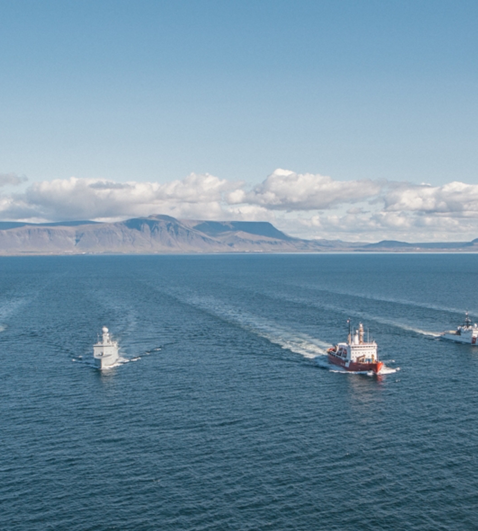 Navy vessels.