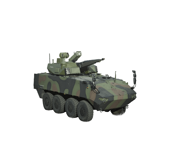 Field of green grass in summer